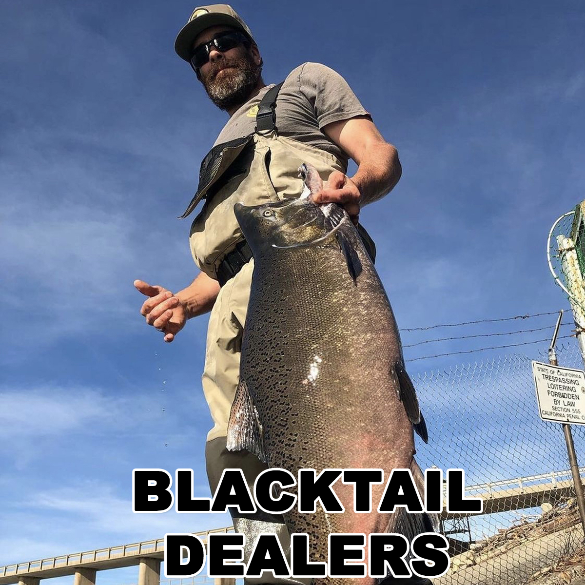 DEALER  Blacktail Fishing