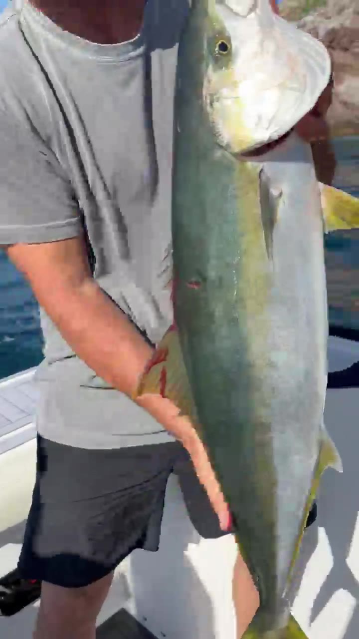Blacktail hooks